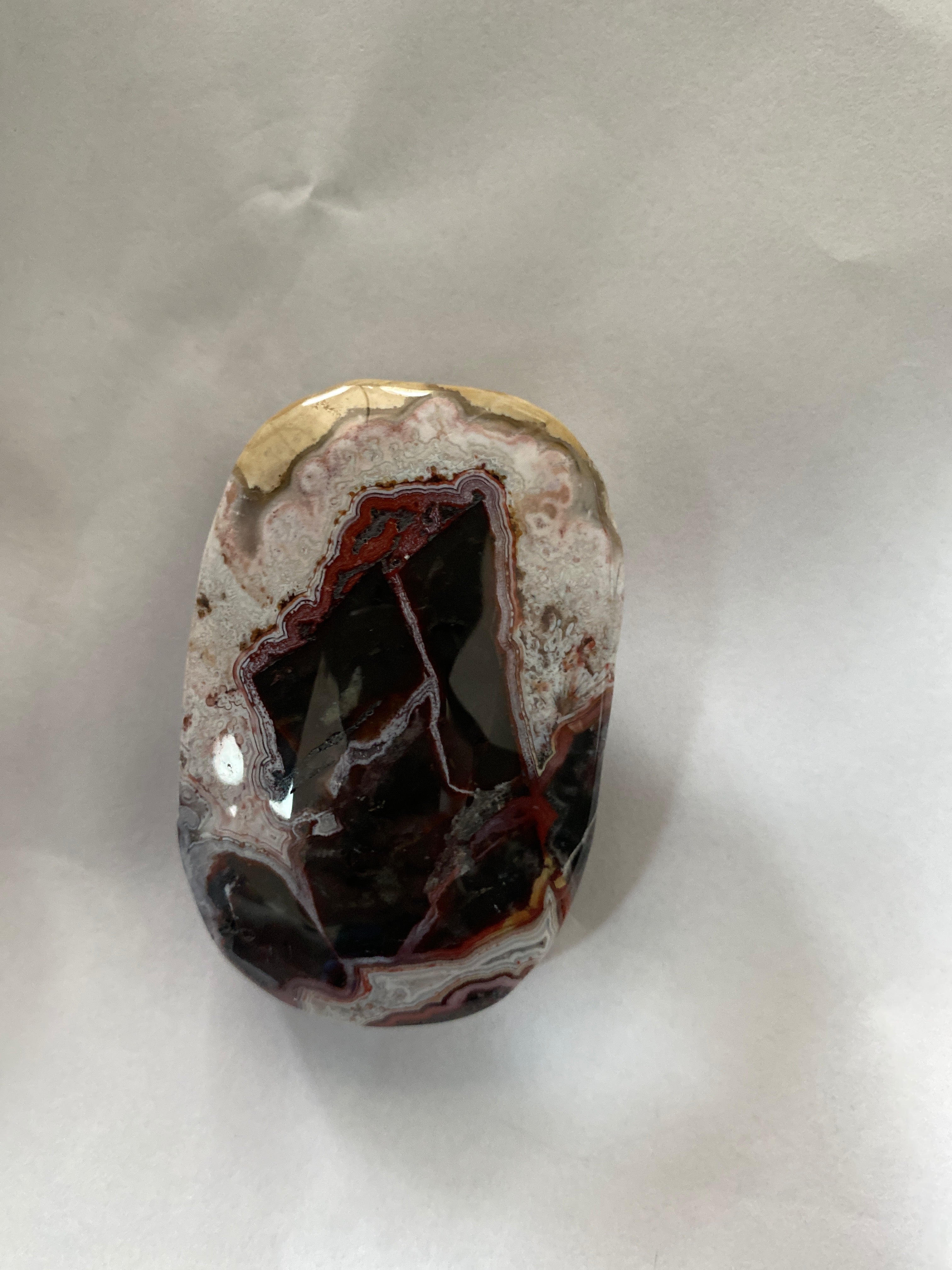 Mexican Agate Palm Stone - 2.5 inch